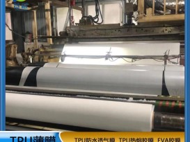 tpu膜白色霧面防水透氣膜復(fù)合布料紡織移印 等功能性薄膜生產(chǎn)廠家直銷