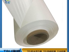 TPU防水透氣膜乳白色  工廠直銷 ZC
